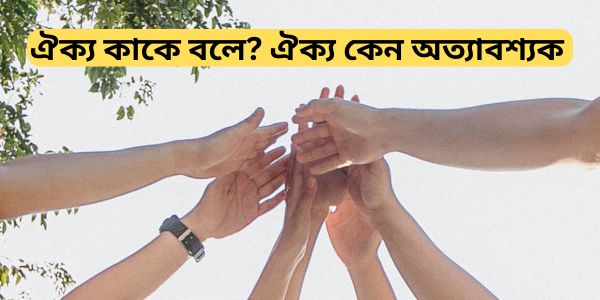ঐক্য কাকে বলে